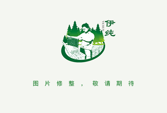 椴树雪蜜1000g